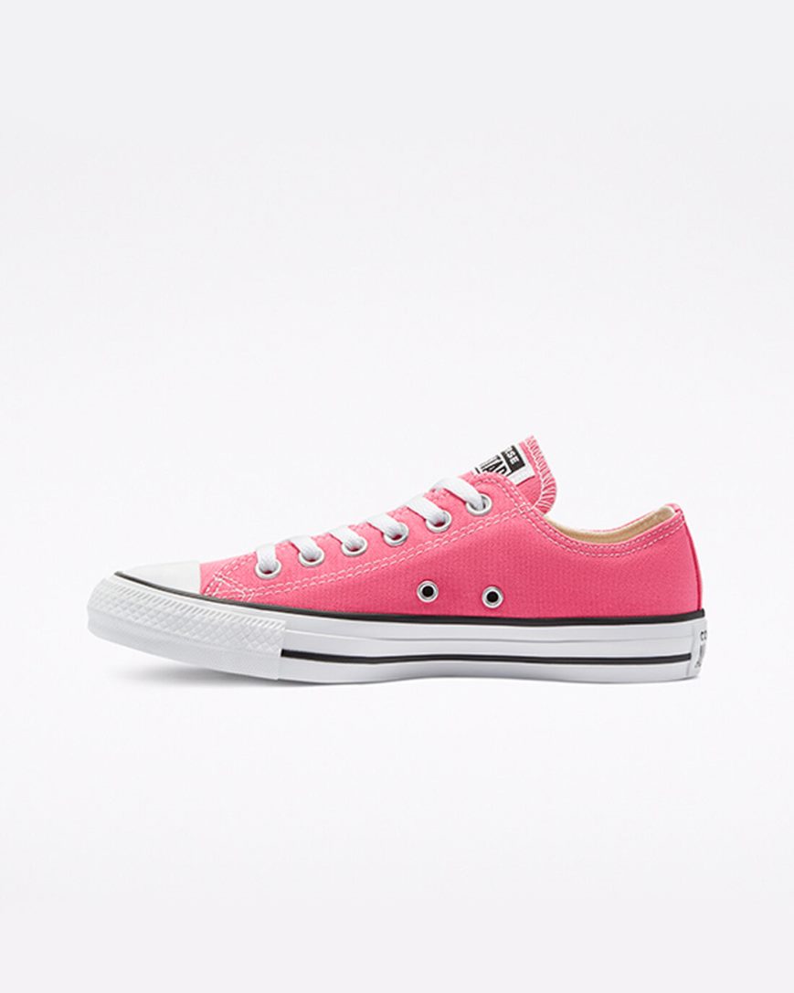 Converse Chuck Taylor All Star Classic Lave Sko Herre Rosa | 957SVFBZO