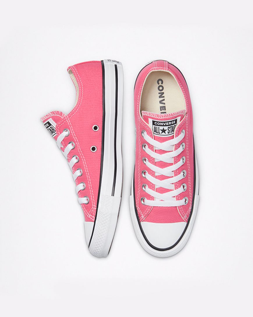 Converse Chuck Taylor All Star Classic Lave Sko Herre Rosa | 957SVFBZO