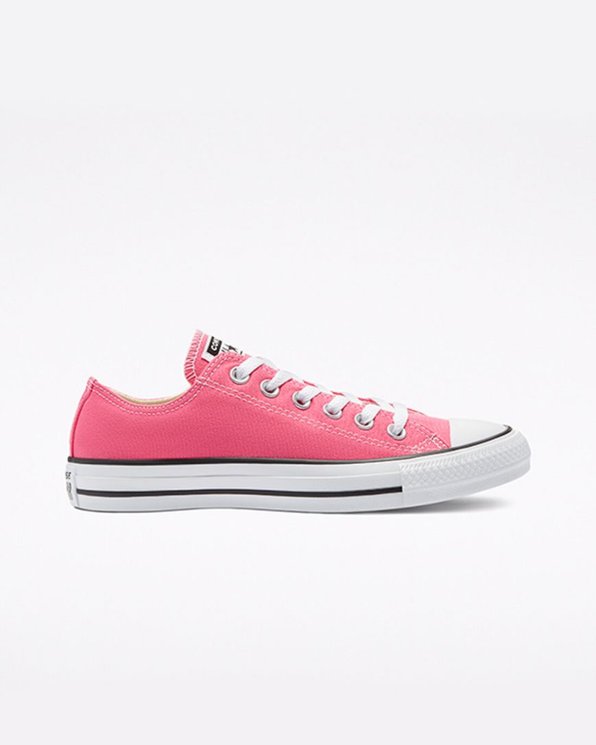 Converse Chuck Taylor All Star Classic Lave Sko Herre Rosa | 957SVFBZO