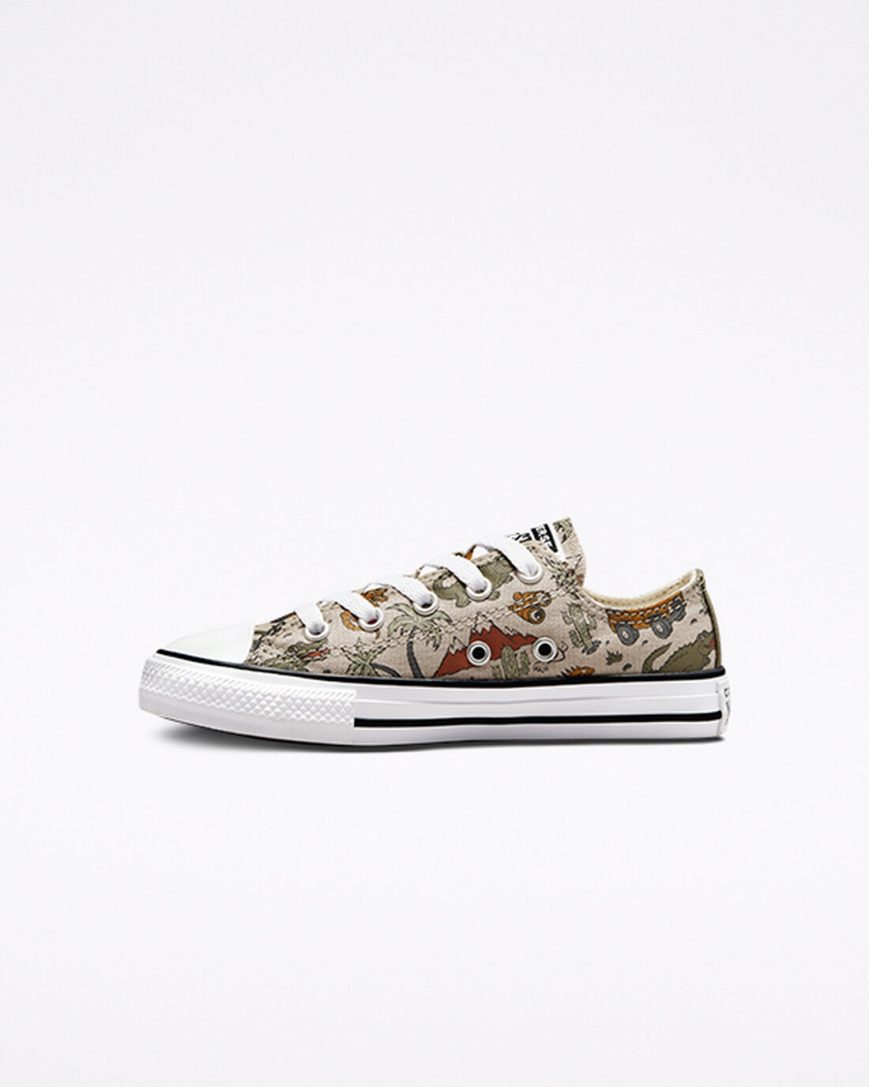 Converse Chuck Taylor All Star Desert Explorer Lave Sko Jente Beige | 062XTAVCE