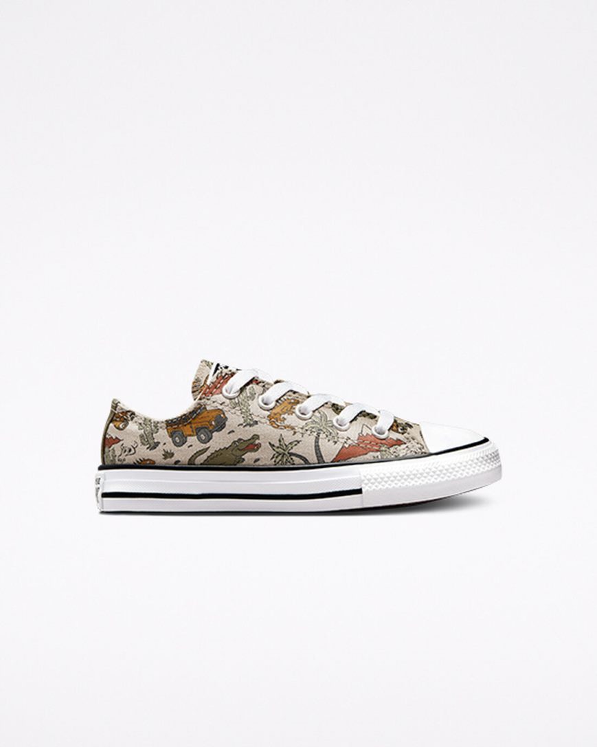 Converse Chuck Taylor All Star Desert Explorer Lave Sko Jente Beige | 062XTAVCE