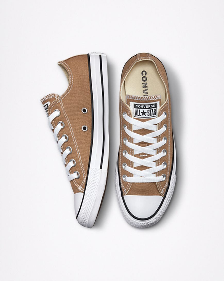 Converse Chuck Taylor All Star Seasonal Color Lave Sko Herre Brune Hvite Svarte | 609FMIZTB