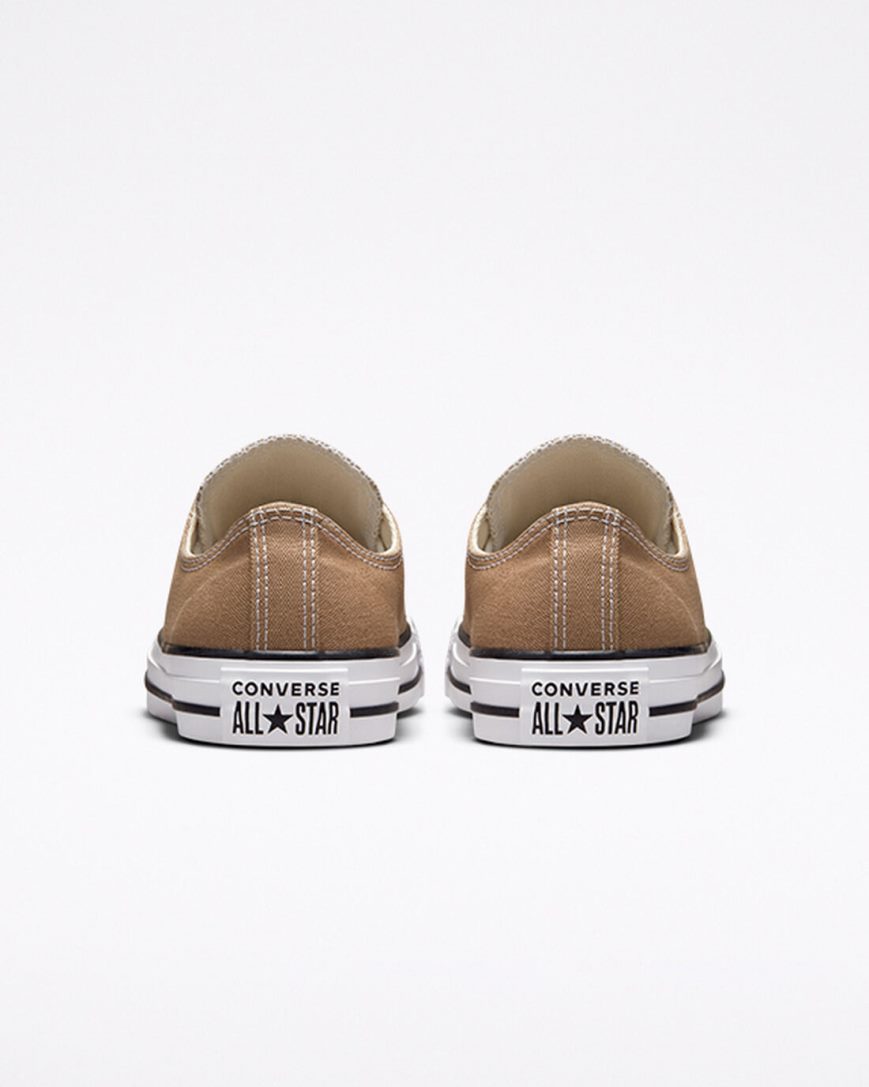 Converse Chuck Taylor All Star Seasonal Color Lave Sko Herre Brune Hvite Svarte | 609FMIZTB